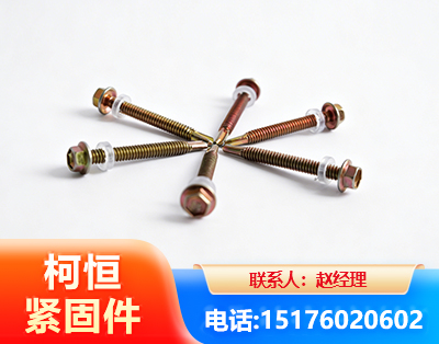 辽源六角钻尾丝